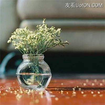 琉璃煞游戏下载